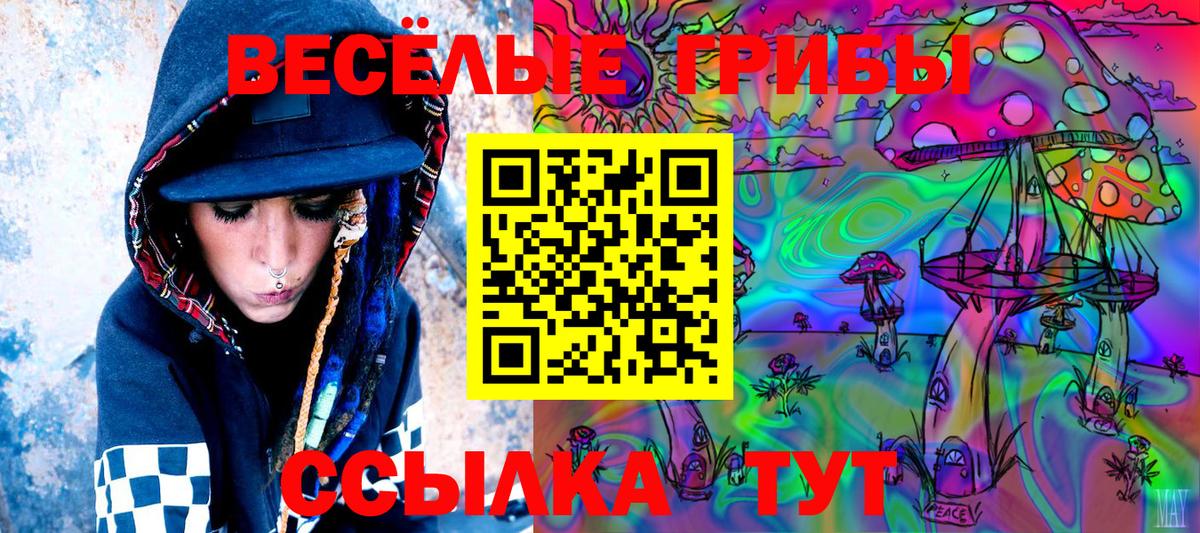 Галлюциногенные грибы Magic Shrooms  Галлюциногенные грибы MAGIC MUSHROOMS  Череповец  Вход с VPN 